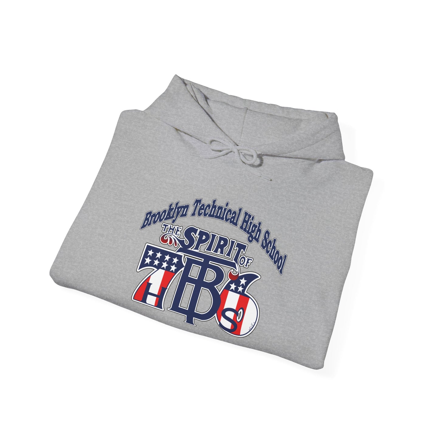 Class of 1976 Gildan Hoodie