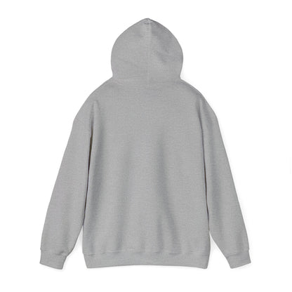 Boutique - Dekalb Ave & Brooklyn Tech Pl - (black Graphic) Men's Heavy Blend™ Hooded Sweatshirt