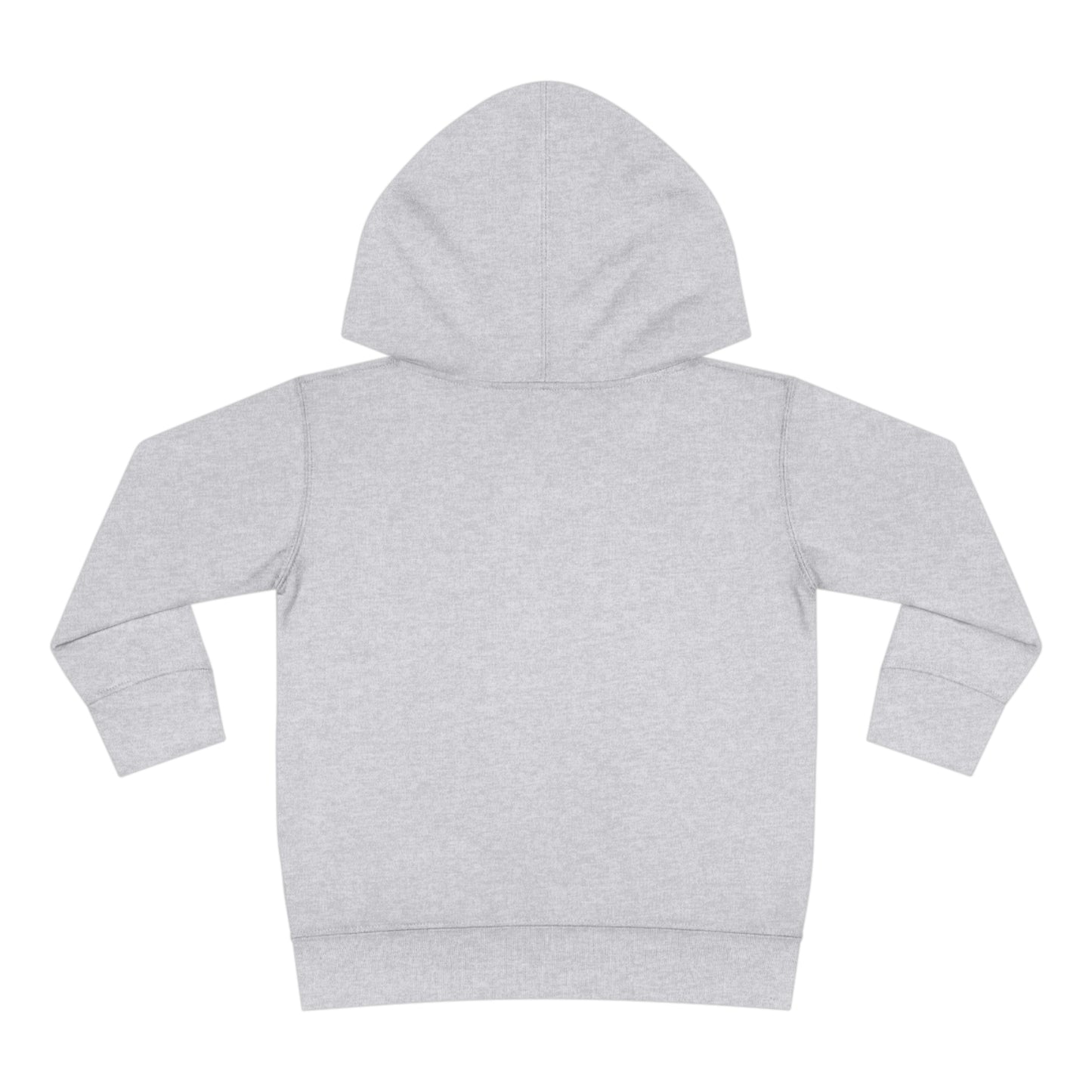 Family - Future Technite - Toddler Pullover Fleece Hoodie