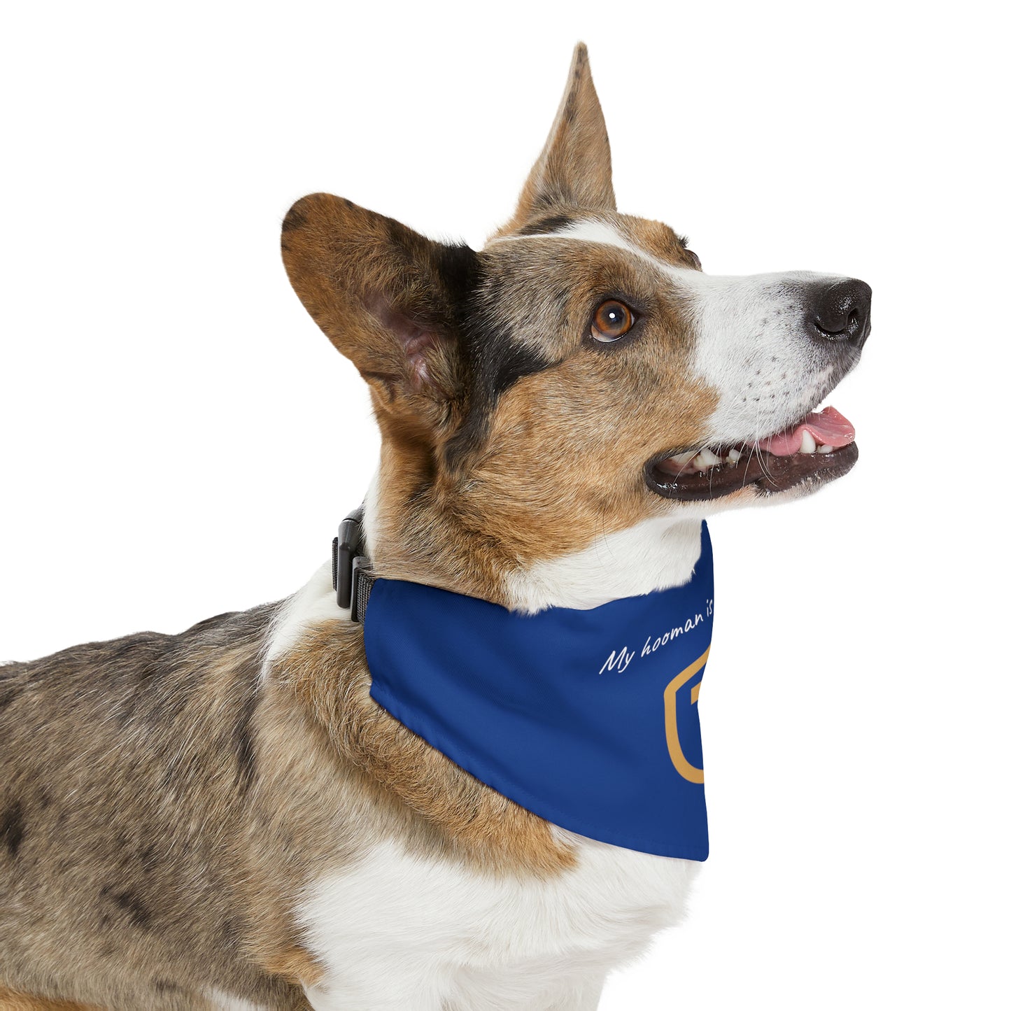 Shield T - Pet Bandana Collar