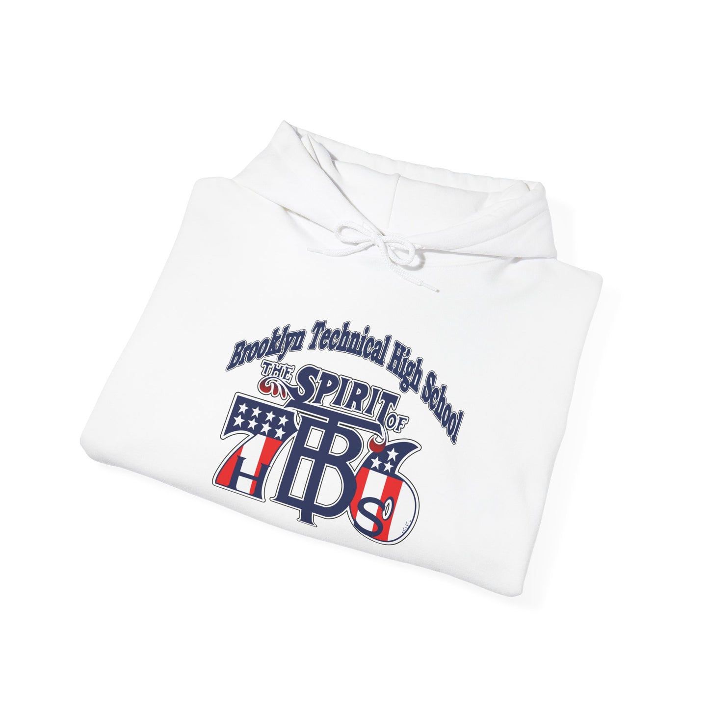 Class of 1976 Gildan Hoodie