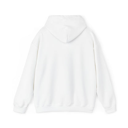 Boutique - Dekalb Ave & Brooklyn Tech Pl - Men's Heavy Blend Hooded Sweatshirt - Black Graphic