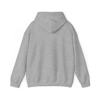 Boutique - Dekalb Ave & Brooklyn Tech Pl - (navy Graphic) Men's Heavy Blend™ Hooded Sweatshirt