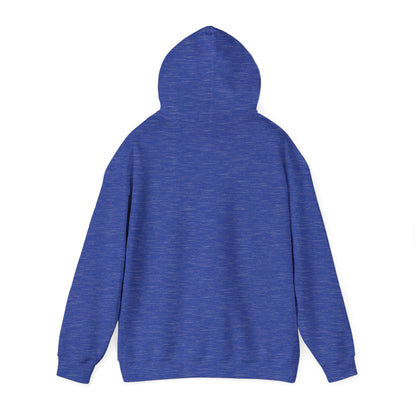 Boutique - Dekalb Ave & Brooklyn Tech Pl - (black Graphic) Men's Heavy Blend™ Hooded Sweatshirt