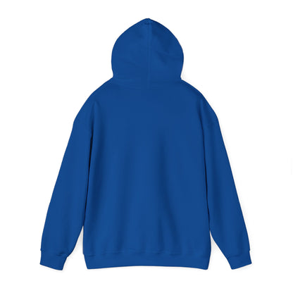 Boutique - Dekalb Ave & Brooklyn Tech Pl - Men's Heavy Blend Hooded Sweatshirt - Black Graphic