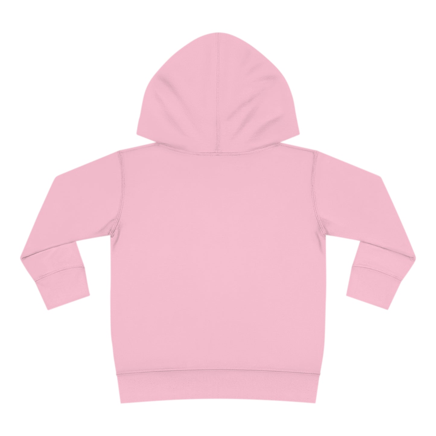 Family - Future Technite - Toddler Pullover Fleece Hoodie