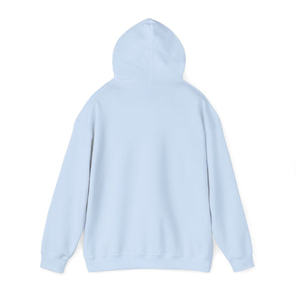 Boutique - Dekalb Ave & Brooklyn Tech Pl - (black Graphic) Men's Heavy Blend™ Hooded Sweatshirt