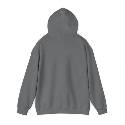 Boutique - Dekalb Ave & Brooklyn Tech Pl - (black Graphic) Men's Heavy Blend™ Hooded Sweatshirt