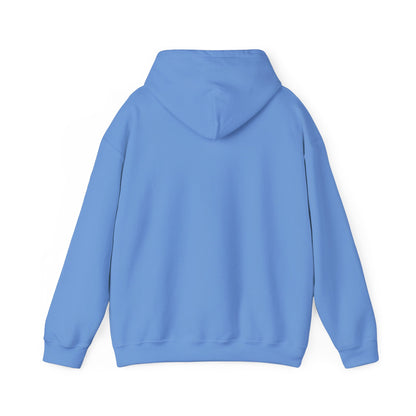 Boutique - Dekalb Ave & Brooklyn Tech Pl - (black Graphic) Men's Heavy Blend™ Hooded Sweatshirt
